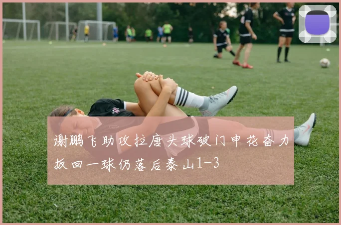 谢鹏飞助攻拉唐头球破门申花奋力扳回一球仍落后泰山1-3